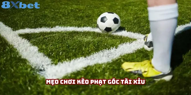 Mẹo chơi kèo phạt góc phiên bản Tài Xỉu Mẹo chơi kèo phạt góc phiên bản Tài Xỉu